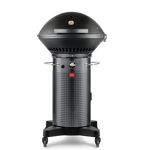 Fuego Professional F24C