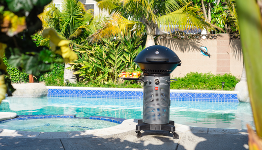 grilled food by the pool